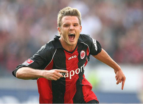 极高的观赏 极高的观赏